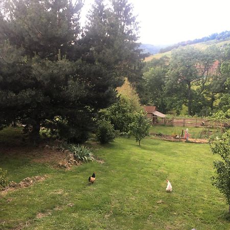 Gites De Gobertier Saint-Alban-d'Ay Eksteriør bilde