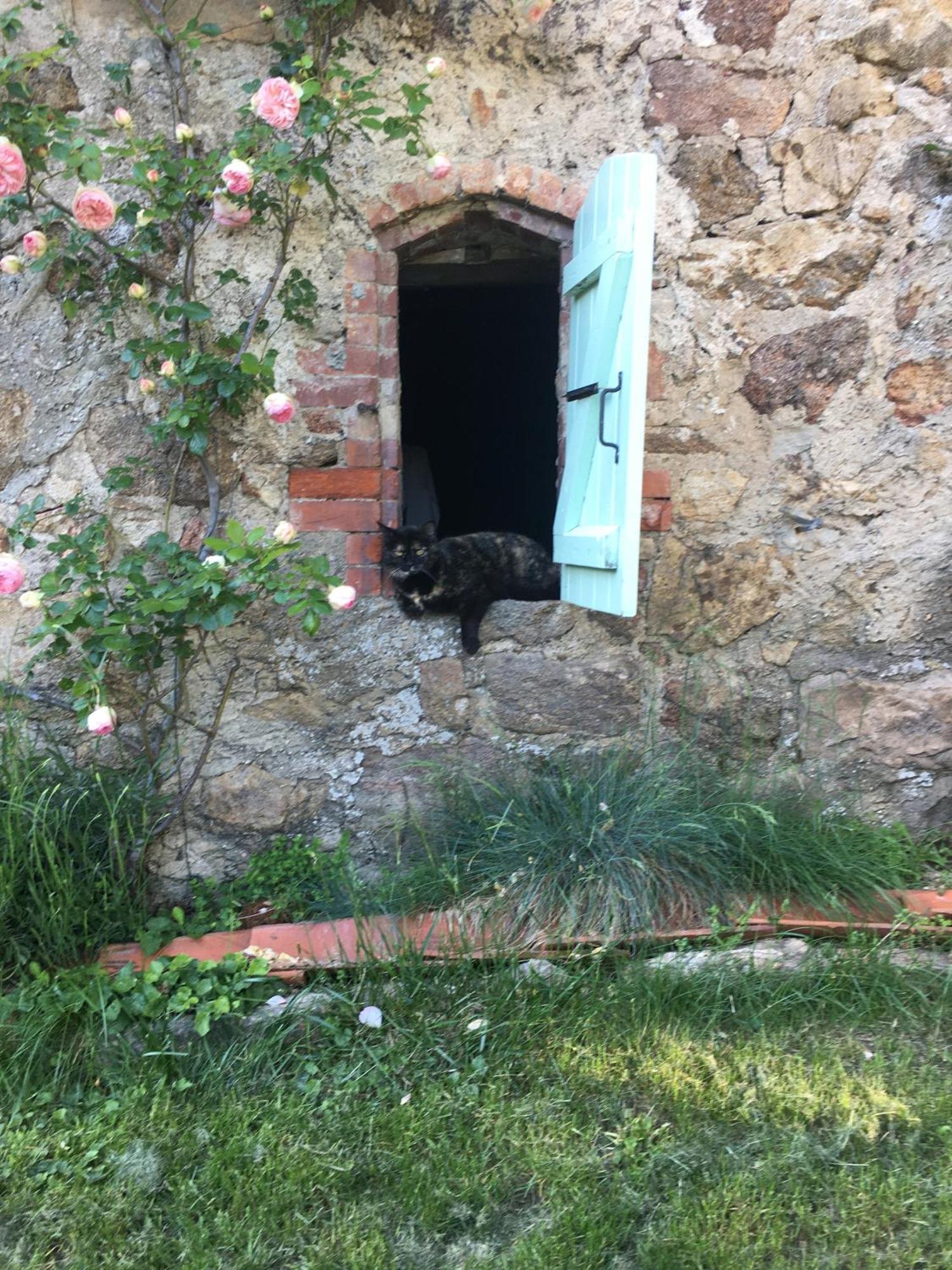 Gites De Gobertier Saint-Alban-d'Ay Eksteriør bilde